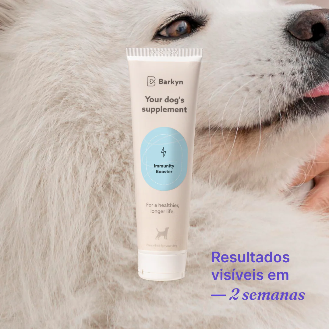 Imagem do produto 3