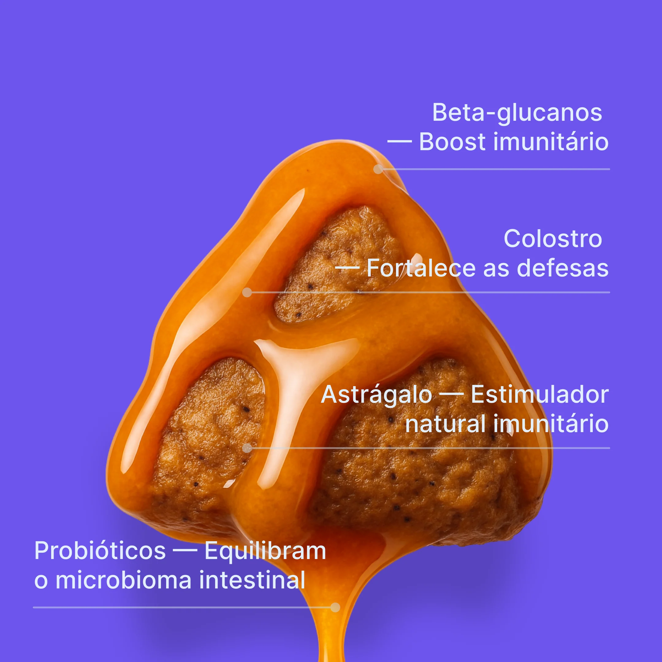 Imagem do produto 4